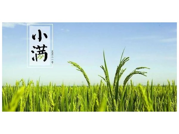 四月中，小瞞者，物致于此小得盈滿